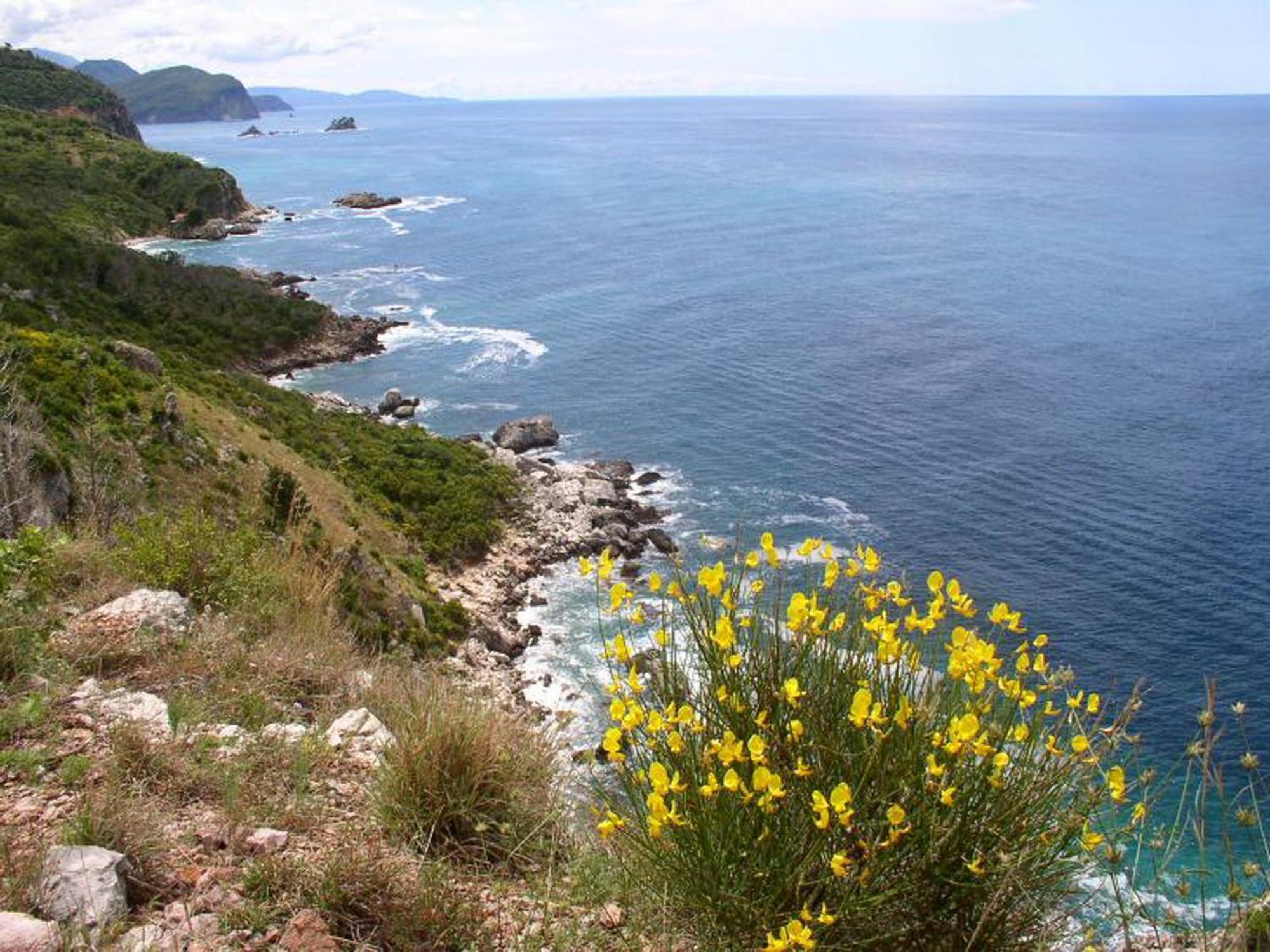 Boutique Home Saltaragazza Petrovac Exterior foto